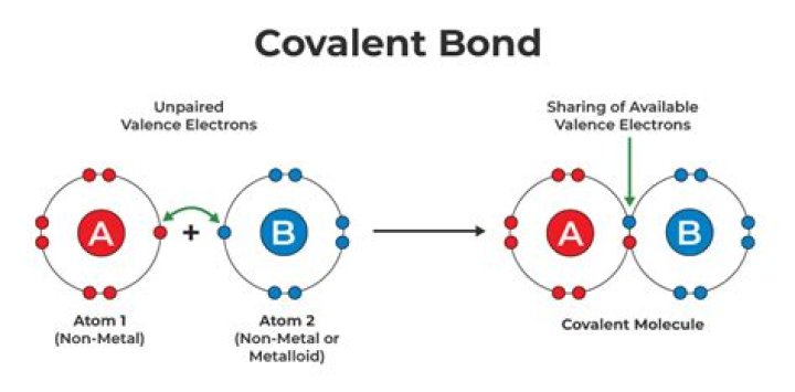 Why are covalent bonds so strong?