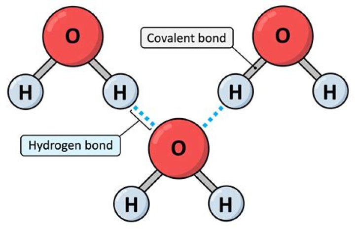 Why are the water molecule bonds at an angle and not straight like the co2?
